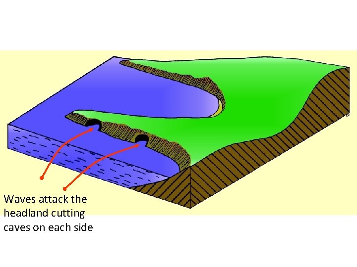 Waves attack the headland cutting caves on each side 