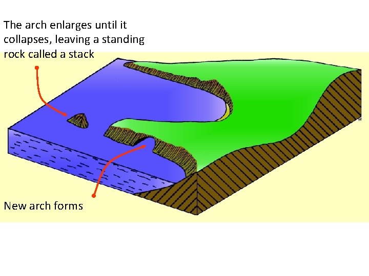 The arch enlarges until it collapses, leaving a standing rock called a stack New