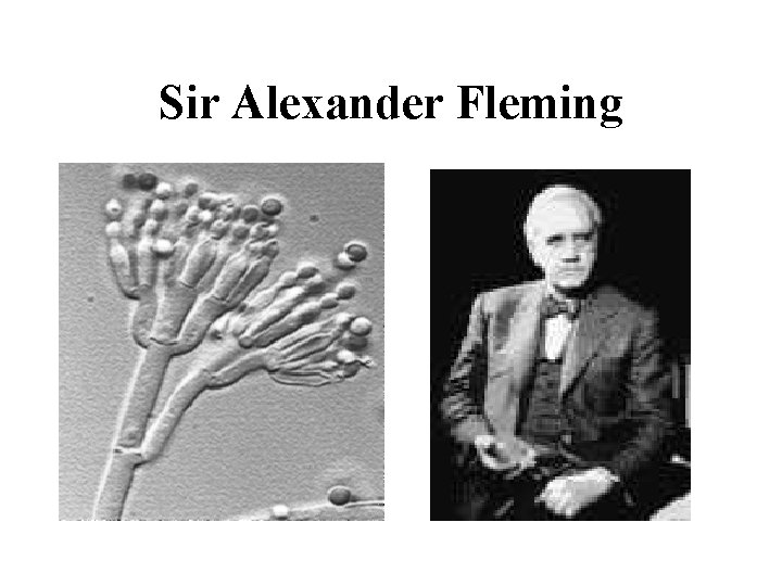 Sir Alexander Fleming 