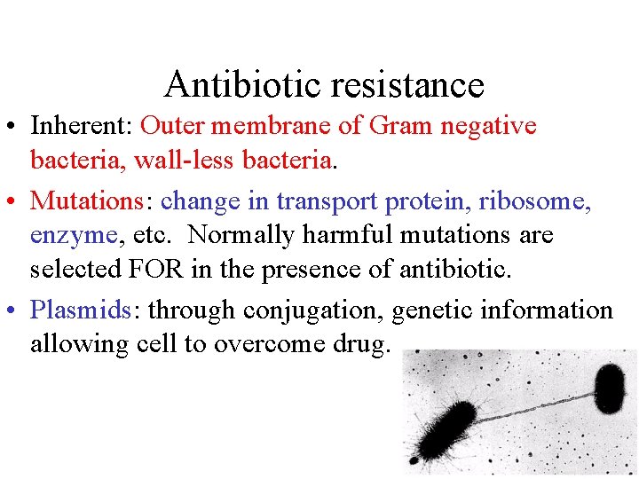 Antibiotic resistance • Inherent: Outer membrane of Gram negative bacteria, wall-less bacteria. • Mutations: