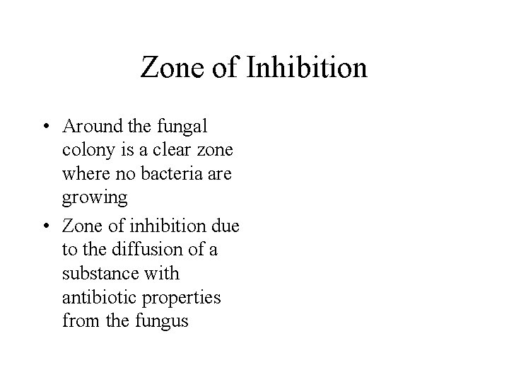 Zone of Inhibition • Around the fungal colony is a clear zone where no