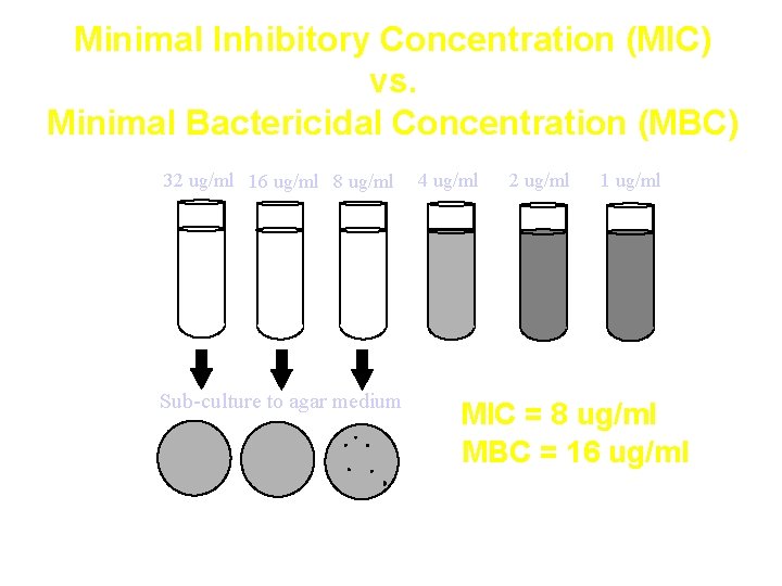 Minimal Inhibitory Concentration (MIC) vs. Minimal Bactericidal Concentration (MBC) 32 ug/ml 16 ug/ml 8