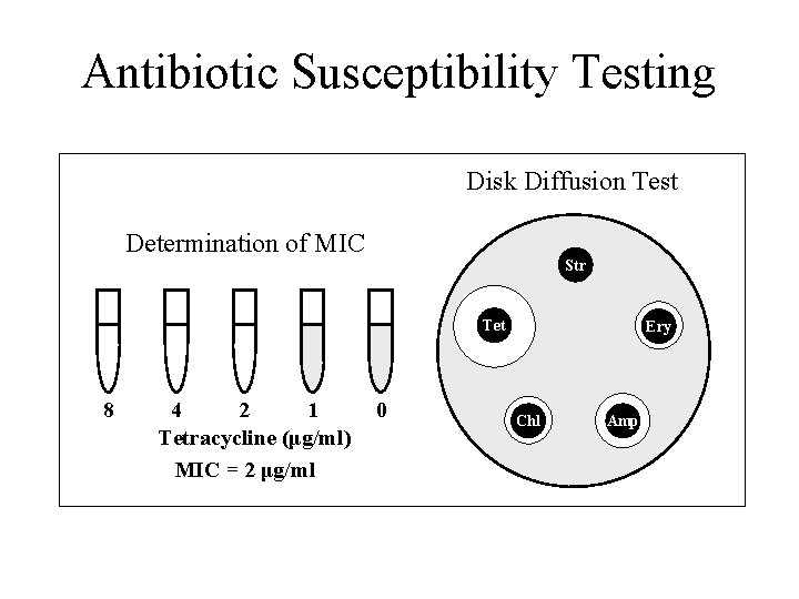 Antibiotic Susceptibility Testing Disk Diffusion Test Determination of MIC Str Tet 8 4 2