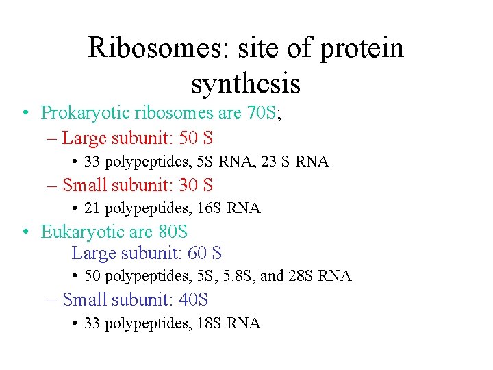 Ribosomes: site of protein synthesis • Prokaryotic ribosomes are 70 S; – Large subunit: