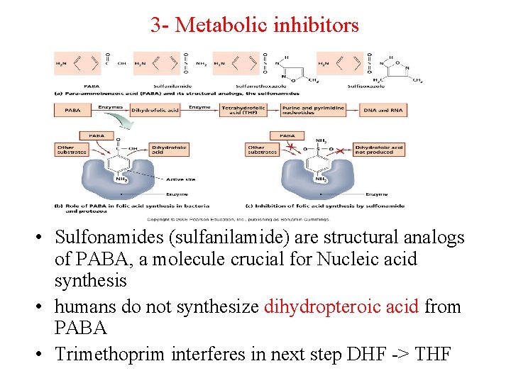 3 - Metabolic inhibitors • Sulfonamides (sulfanilamide) are structural analogs of PABA, a molecule