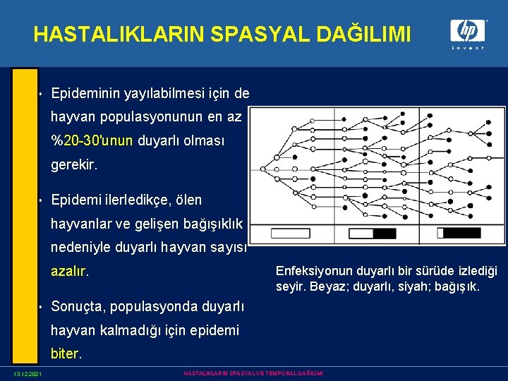 HASTALIKLARIN SPASYAL DAĞILIMI • Epideminin yayılabilmesi için de hayvan populasyonunun en az %20 -30'unun