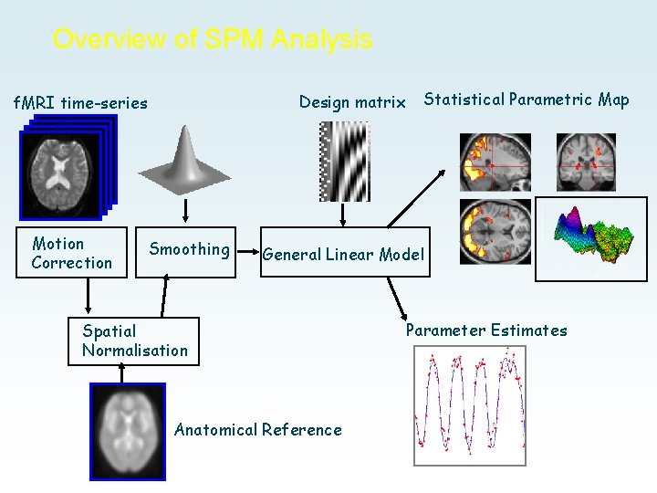 Overview of SPM Analysis Design matrix f. MRI time-series Motion Correction Smoothing Statistical Parametric
