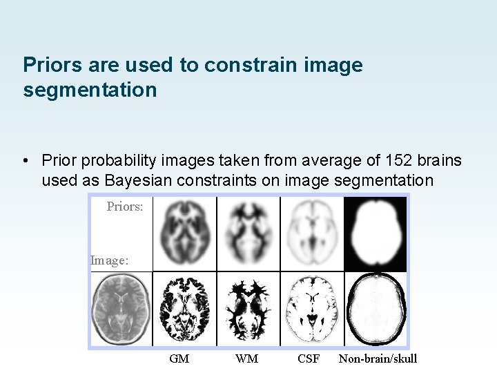 Priors are used to constrain image segmentation • Prior probability images taken from average