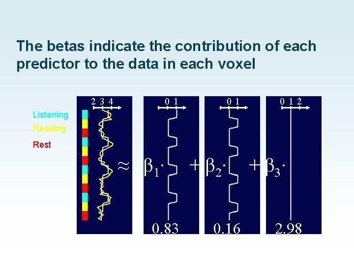 The betas indicate the contribution of each predictor to the data in each voxel