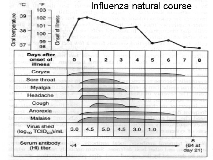 Influenza natural course 