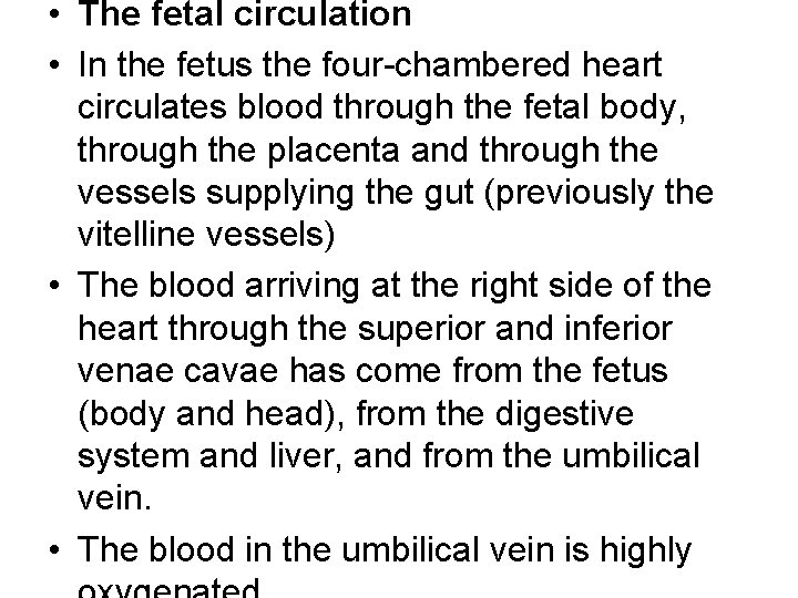  • The fetal circulation • In the fetus the four-chambered heart circulates blood