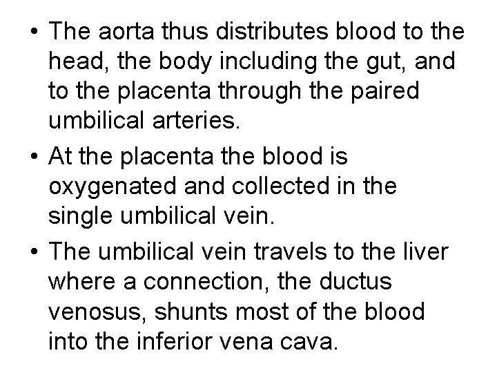  • The aorta thus distributes blood to the head, the body including the