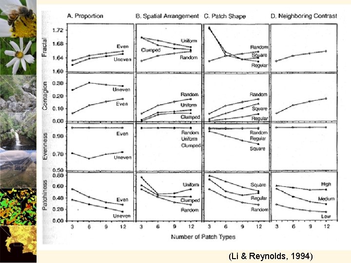 (Li & Reynolds, 1994) 