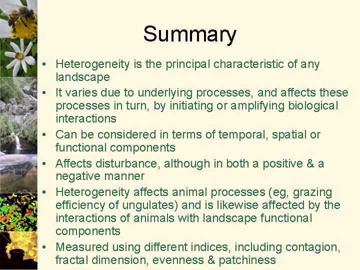 Summary • Heterogeneity is the principal characteristic of any landscape • It varies due