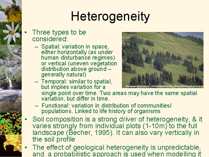 Heterogeneity • Three types to be considered: – Spatial: variation in space, either horizontally