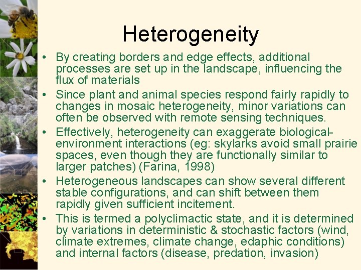 Heterogeneity • By creating borders and edge effects, additional processes are set up in