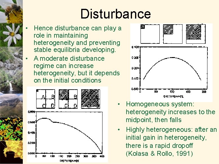 Disturbance • Hence disturbance can play a role in maintaining heterogeneity and preventing stable