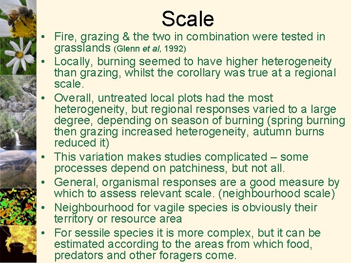 Scale • Fire, grazing & the two in combination were tested in grasslands (Glenn