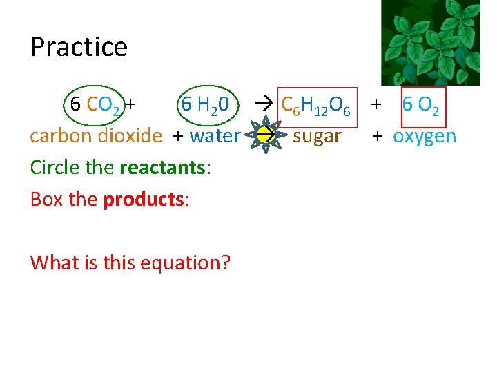 Practice 6 CO 2 + 6 H 20 C 6 H 12 O 6