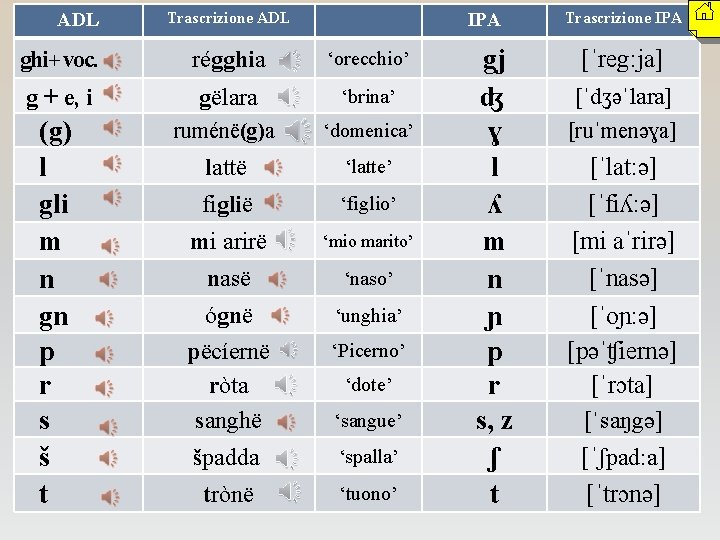 ADL Trascrizione ADL IPA ghi+ voc. régghia ‘orecchio’ g + e, i gëlara ‘brina’