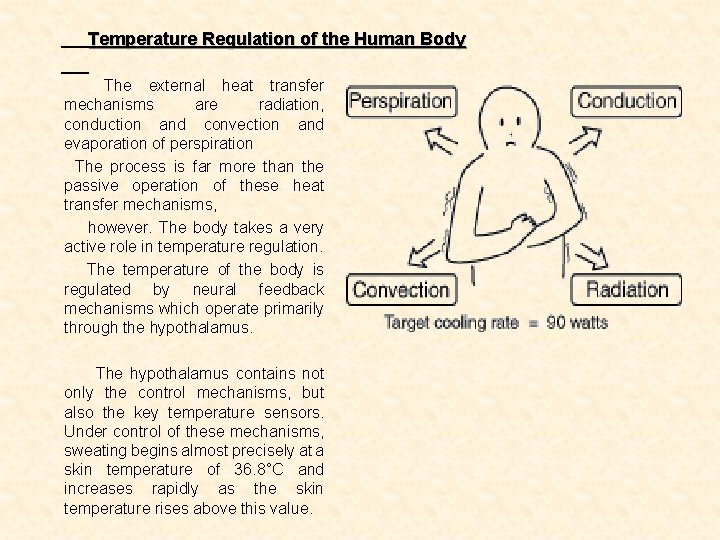 Temperature Regulation of the Human Body The external heat transfer mechanisms are radiation, conduction