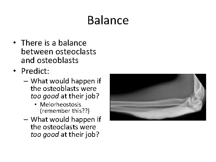 Balance • There is a balance between osteoclasts and osteoblasts • Predict: – What