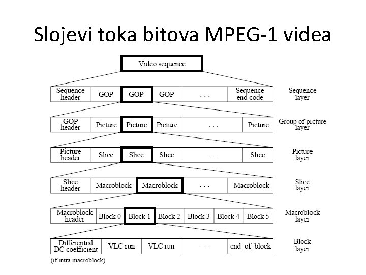 Slojevi toka bitova MPEG-1 videa 