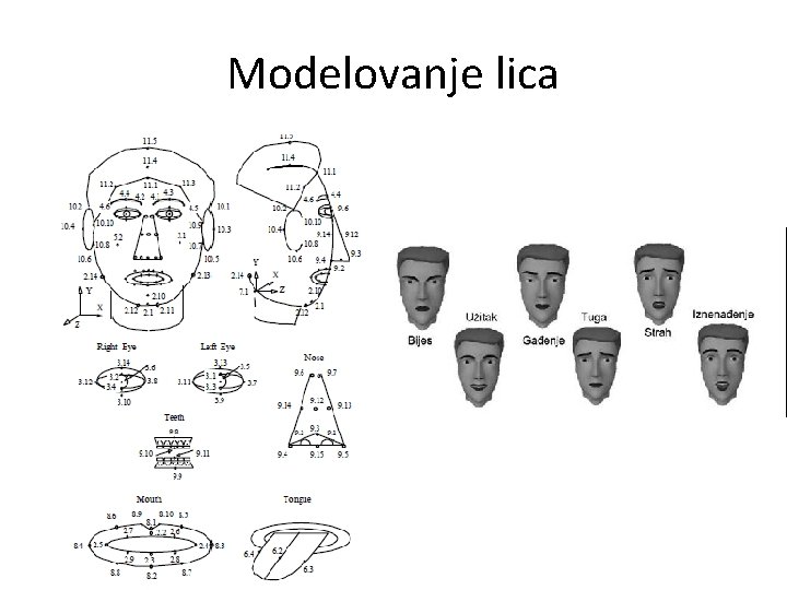 Modelovanje lica 