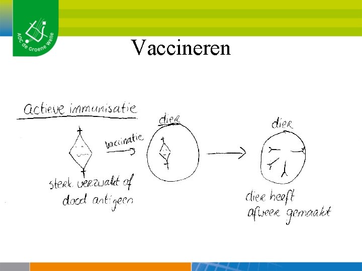 Vaccineren 