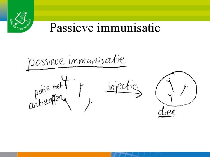 Passieve immunisatie 