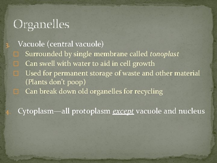 Organelles 3. Vacuole (central vacuole) � Surrounded by single membrane called tonoplast � Can