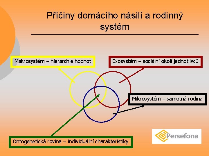 Příčiny domácího násilí a rodinný systém Makrosystém – hierarchie hodnot Exosystém – sociální okolí