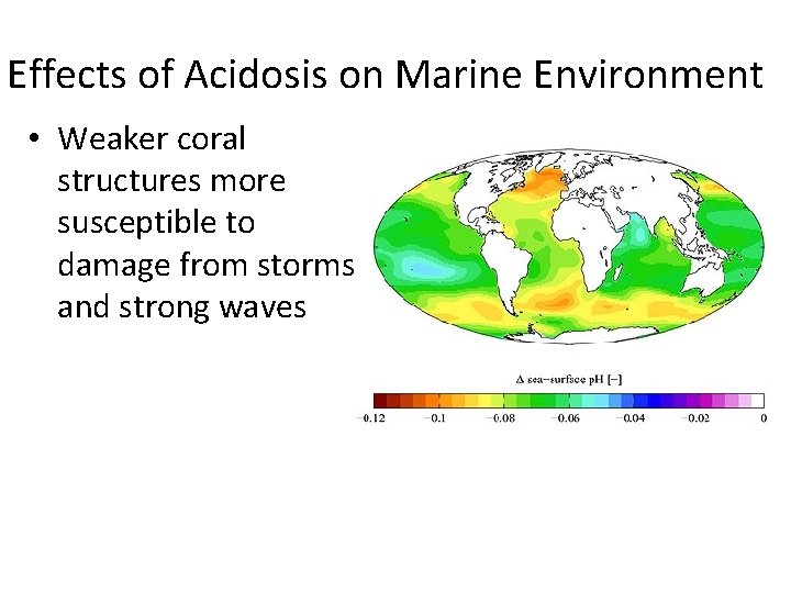 Effects of Acidosis on Marine Environment • Weaker coral structures more susceptible to damage
