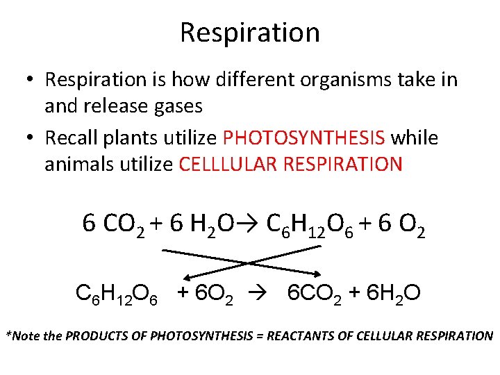 Respiration • Respiration is how different organisms take in and release gases • Recall