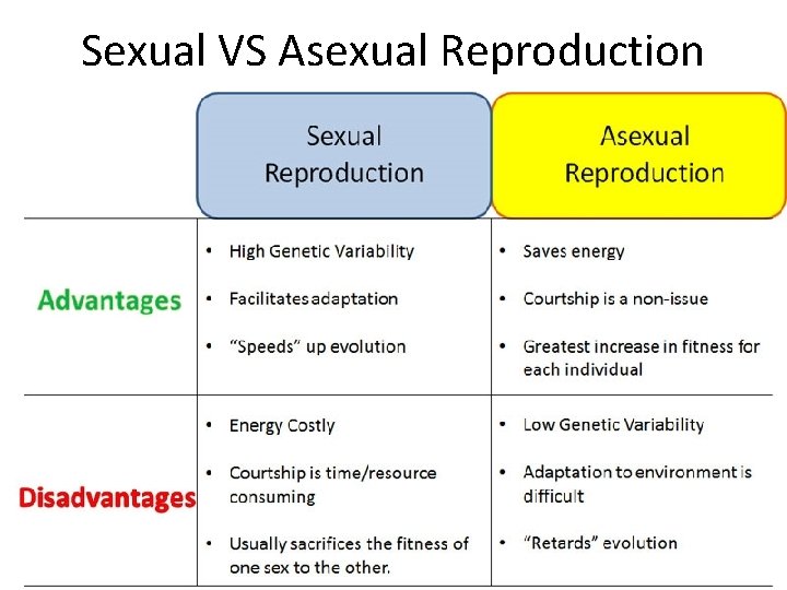 Sexual VS Asexual Reproduction 