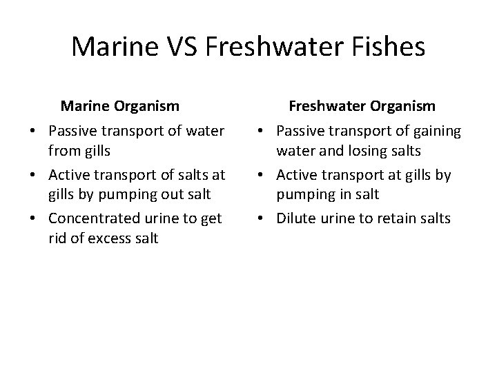 Marine VS Freshwater Fishes Marine Organism • Passive transport of water from gills •