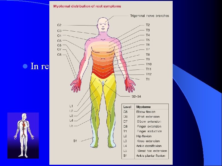 Location l In relation to visible affection 