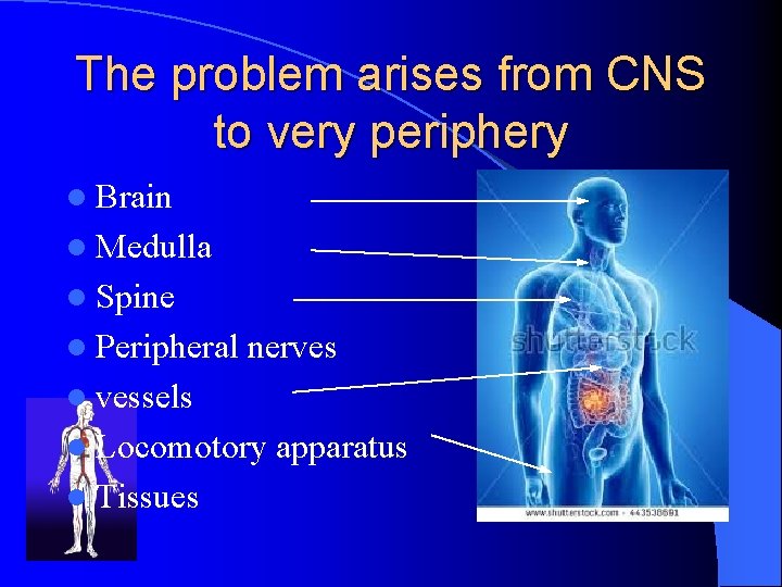 The problem arises from CNS to very periphery l Brain l Medulla l Spine