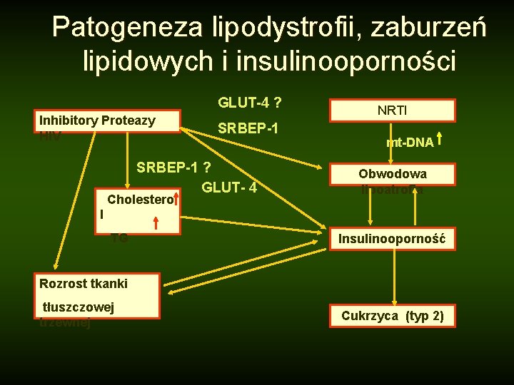 Patogeneza lipodystrofii, zaburzeń lipidowych i insulinooporności GLUT-4 ? Inhibitory Proteazy HIV SRBEP-1 ? GLUT-