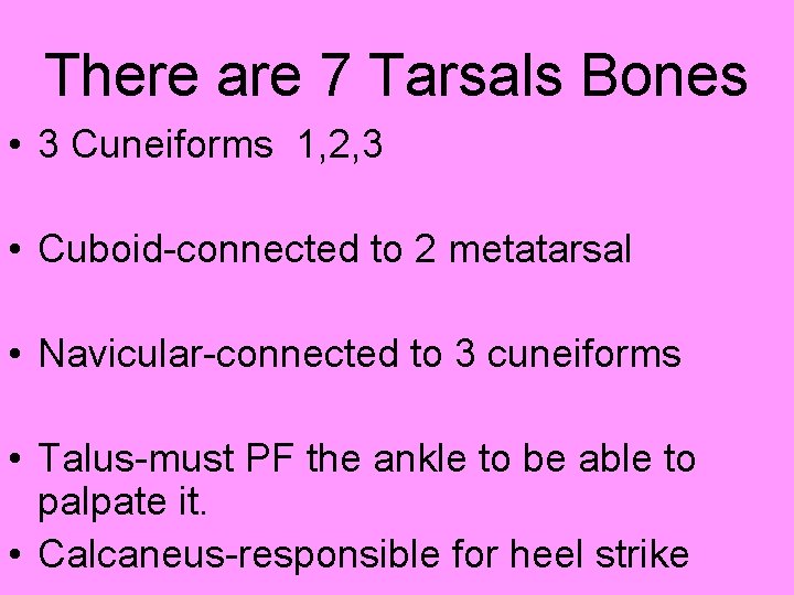 There are 7 Tarsals Bones • 3 Cuneiforms 1, 2, 3 • Cuboid-connected to