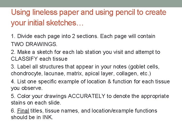 Using lineless paper and using pencil to create your initial sketches… 1. Divide each
