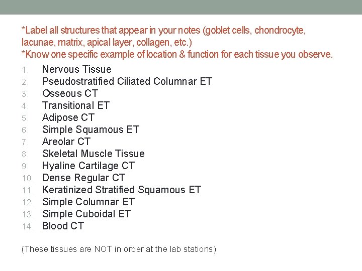 *Label all structures that appear in your notes (goblet cells, chondrocyte, lacunae, matrix, apical