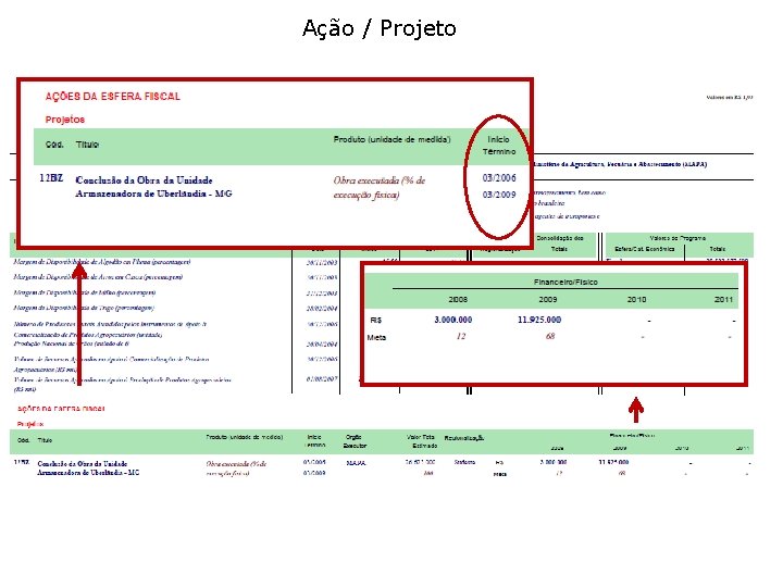 Ação / Projeto 