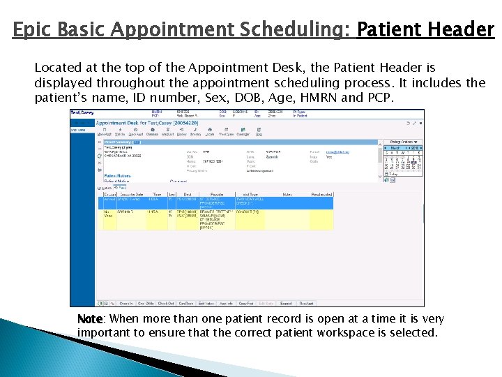 Epic Basic Appointment Scheduling: Patient Header Located at the top of the Appointment Desk,
