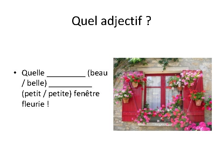 Quel adjectif ? • Quelle _____ (beau / belle) _____ (petit / petite) fenêtre