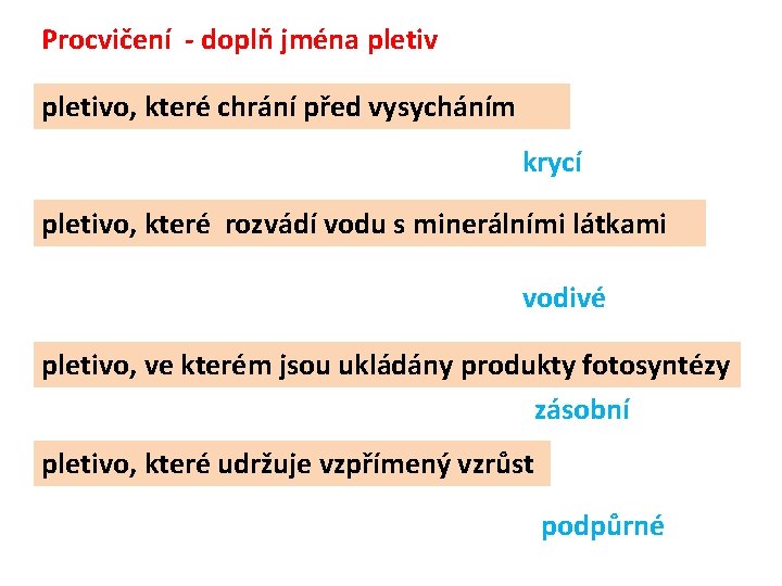 Procvičení - doplň jména pletivo, které chrání před vysycháním krycí pletivo, které rozvádí vodu