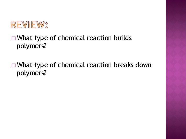 � What type of chemical reaction builds polymers? � What type of chemical reaction