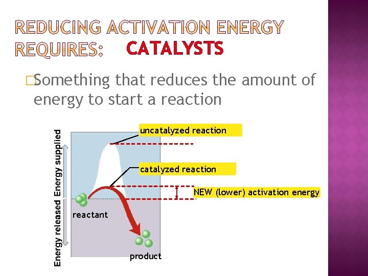 CATALYSTS �Something that reduces the amount of energy to start a reaction uncatalyzed reaction
