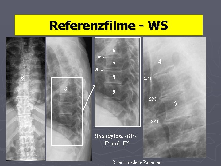 Referenzfilme - WS 6 SP II 8 6 6 4 7 SP I 9