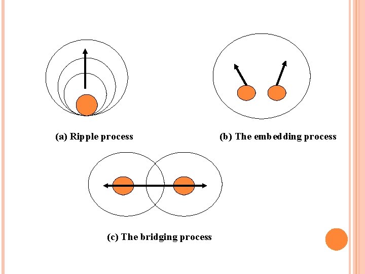 (a) Ripple process (c) The bridging process (b) The embedding process 